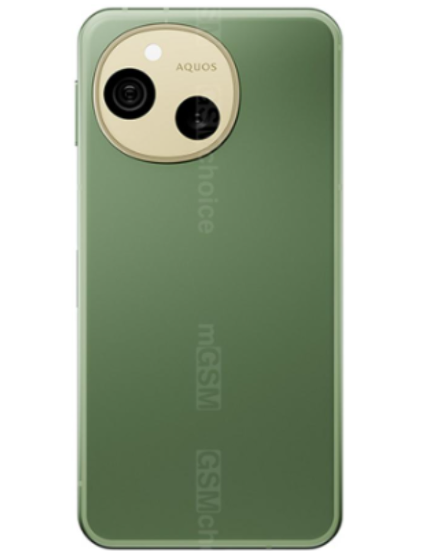 Sharp Aquos sense10 Back Green Colour